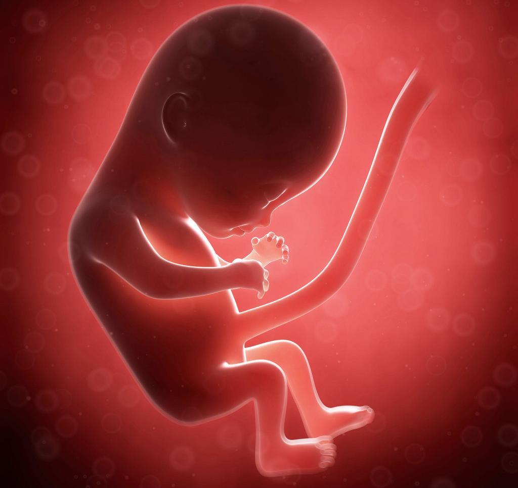 通过脐带看胎儿在母体内是否健康__寻医问药