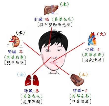 中医解释 五官对五脏的理论