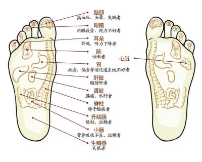 具有培补元气,益肾固精的功效.