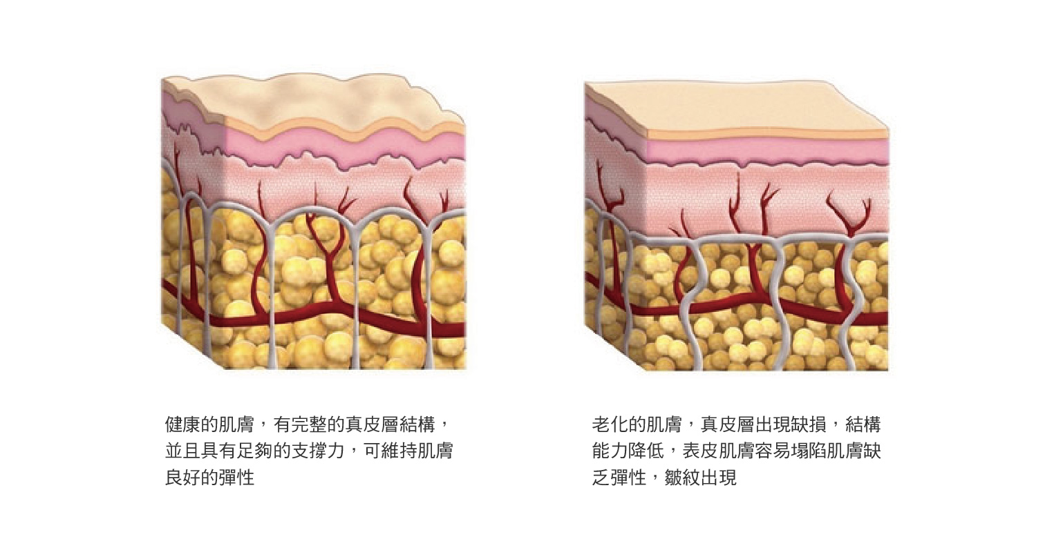 胶原蛋白什么时候吃最好_整形频道_寻医问药网_xywy.com