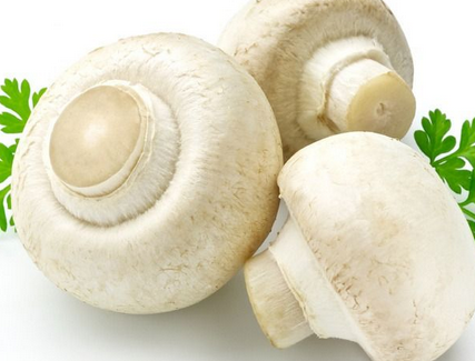 蘑菇也是让男人防癌的食物