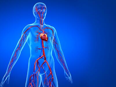 心血管疾病的症状表现主要有哪些方面_寻医问