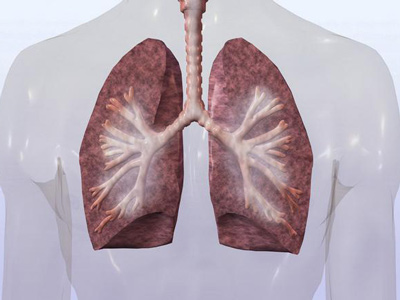 除了这些以外咯血,胸痛,咳嗽都是一些常见的肺癌征兆.