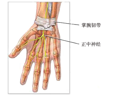 腕管综合征