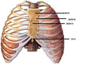 胸壁骨肿瘤
