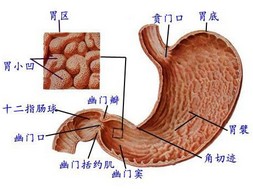 肠胃炎