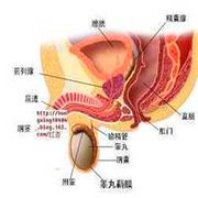 前列腺快感