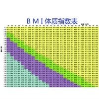 bmi指数