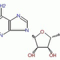 腺苷