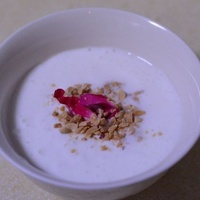 自制藏灵菇酸奶