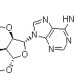 二丁酰环磷腺苷