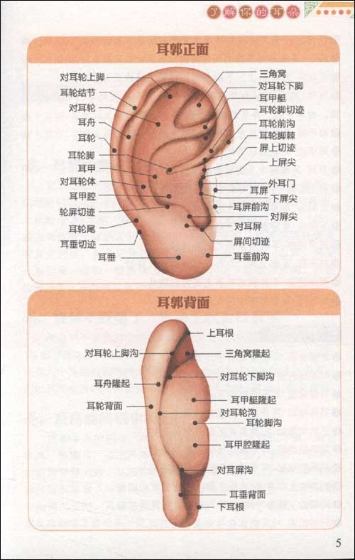 卢丙仑教授:耳郭上的瘢痕疙瘩怎么办?