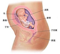 怀孕6个月男女肚子图-健康之路健康知识