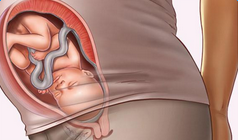 胎儿入盆什么感觉 胎儿入盆多久会生-健康之路健康知识