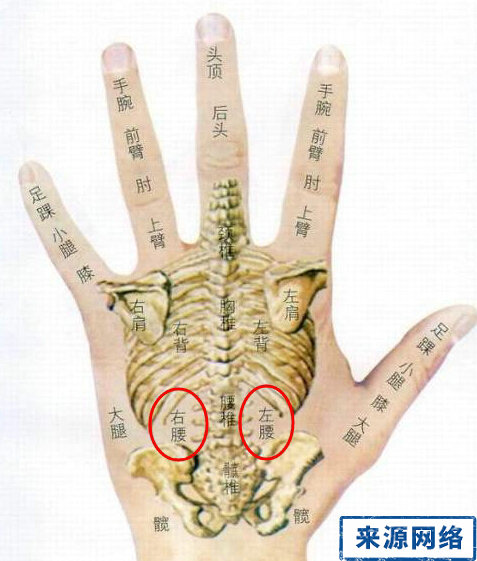 按摩腰痛点穴缓解治疗急性腰扭伤,手背红肿疼痛,头痛,耳鸣等.