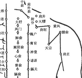 肩部有什么穴位么,想学习按摩