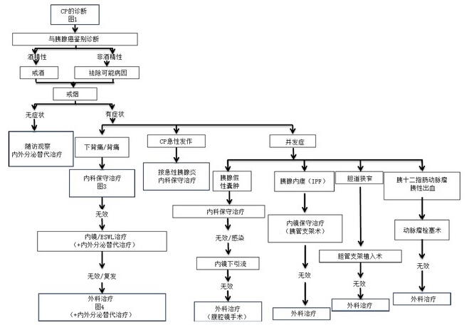 cp 反复发作急性胰腺炎;2. cp 的疼痛及营养处理很困难;3.