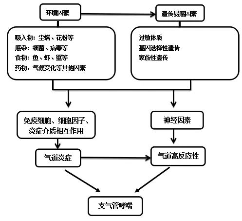 哮喘,又称支气管哮喘,世界卫生组织(who)及美国国家卫生院组织