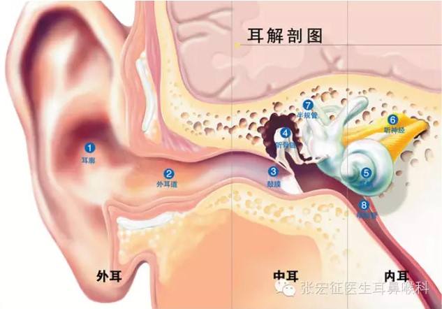 中耳炎该怎么治疗?----慢性化脓性中耳炎系列之3