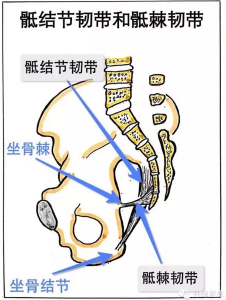 常跷"二郎腿"容易得坐骨结节囊肿?