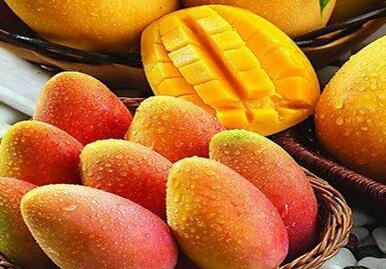 高血压高血糖的老人能吃芒果吗