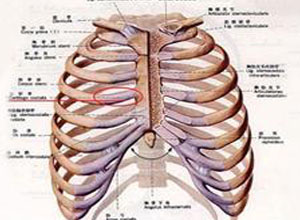 胸锁软骨炎的症状图片图片