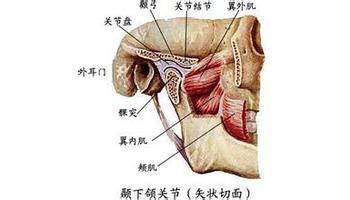 顳頜關節炎如何治療 高能姐 09-25