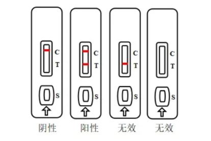 新冠感染测试盒c和t什么意思_寻医问药频道_寻医问药网