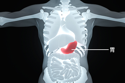 胃部在人体什么位置图片